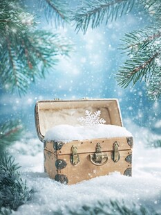雪中美箱 冬日梦幻氛围