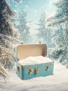雪地中的蓝色复古行李箱