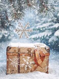 冬日雪境中的复古行李箱