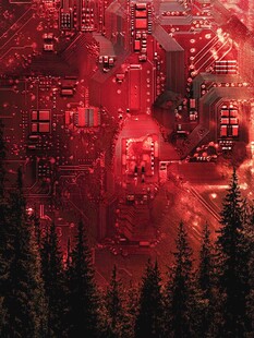红色电路板下的森林景观