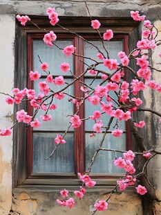 窗边绽放的烂漫粉色花枝