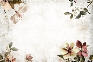 复古花卉边框背景图