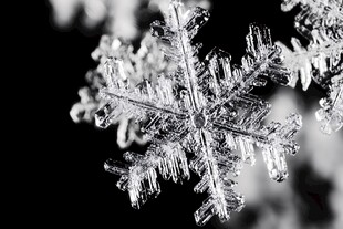 微距下的精美六角雪花