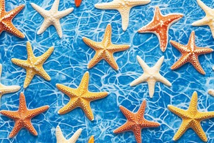 海星点缀的梦幻蓝色水面