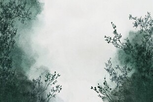 水墨山林间 云雾漫枝头
