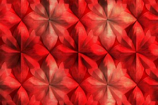 红色花卉图案无缝背景