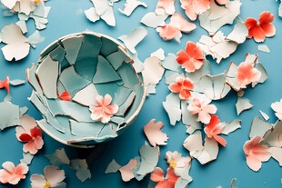 破碎瓷碗与散落花瓣