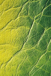 黄绿渐变皮革纹理特写