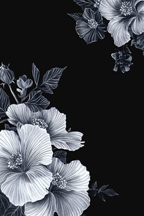 黑白花卉装饰图案