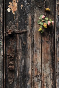 老旧木门上的花卉与果实