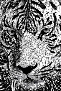 黑白老虎头像插画