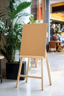 室内空白展示架与绿植景观