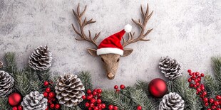 圣诞驯鹿装饰 节日氛围感