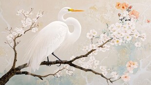 白鹭栖花树 诗意东方景