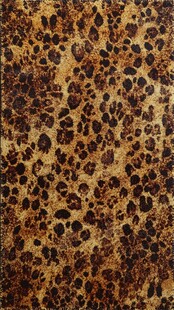 豹纹图案纹理背景图