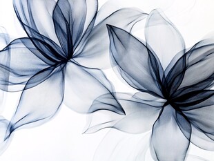 水墨风透明花朵图案