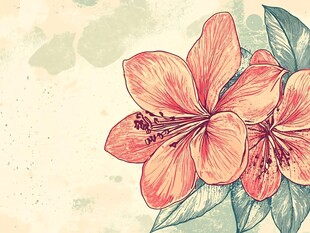 手绘复古风粉色花卉插画