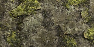 青苔覆盖的斑驳石墙纹理