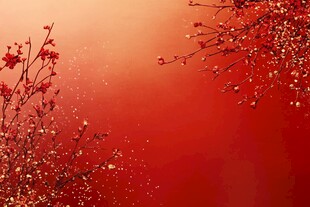 红梅映红背景雅致画面
