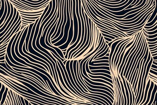 黑白线条抽象艺术纹理图案