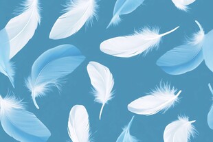 蓝色背景下的轻盈羽毛图案