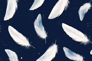 梦幻白羽在深蓝背景飞舞