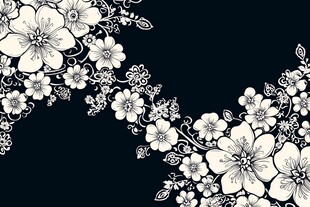 黑白花卉装饰图案设计