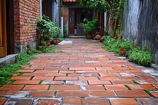 红砖小巷 绿植相伴的静谧小径