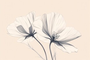 简约手绘双生白花