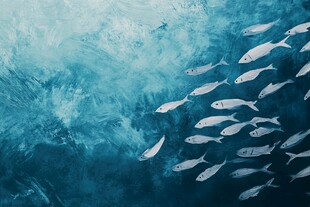 海洋中群游的银色小鱼