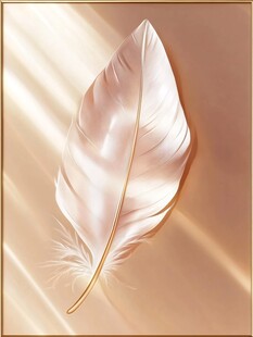 轻盈白羽 闪耀梦幻光芒