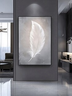 简约羽毛挂画装点现代空间