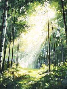 阳光洒落的静谧森林