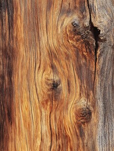 古老木纹的自然纹理之美