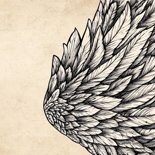 复古风手绘天使羽翼图案