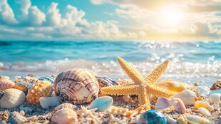 海滩上的海星与多彩贝壳