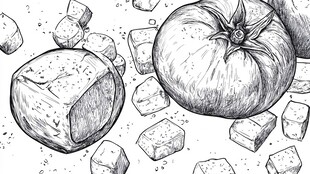 素描蔬果 番茄与块状食物