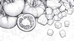 素描番茄与切块静物图