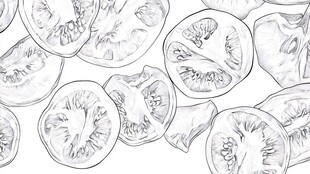 番茄切片手绘插画图案