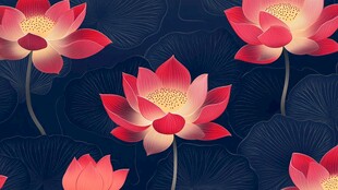 深蓝底上绽放的艳丽红莲花