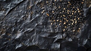 黑底上散落的多彩种子