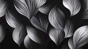 黑白叶纹抽象艺术背景图