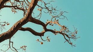 蓝天映衬下的虬曲树枝