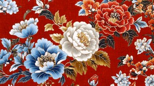 红色底花卉图案精美织物