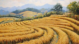 金色稻田中的田园美景