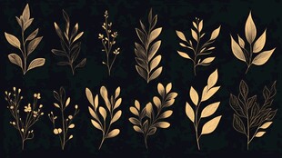 金色植物叶片花卉元素集合