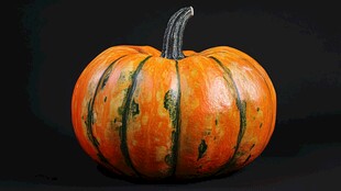 单个橙色南瓜静物特写