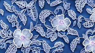 蓝色底精致白色花卉刺绣图案