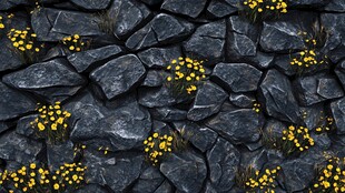 石墙间绽放的黄色小花