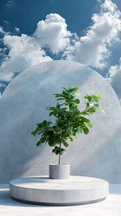 简约风绿植展示于艺术空间